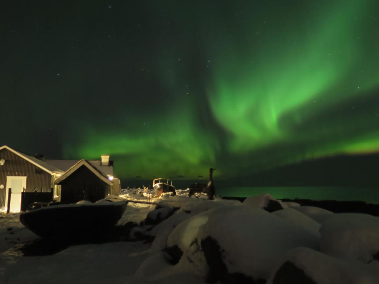 Hlid Fisherman'S Village Álftanes Esterno foto